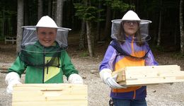 Schulimkereiprojekt „Bee a Scientist“ gewinnt Bildungspreis der B&C Privatstiftung